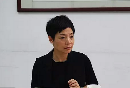 图为天鹏电源公司总经理陈璇参与座谈交流